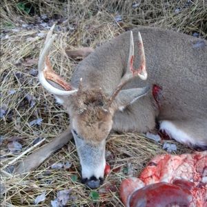 Meet your Posher, Gerald